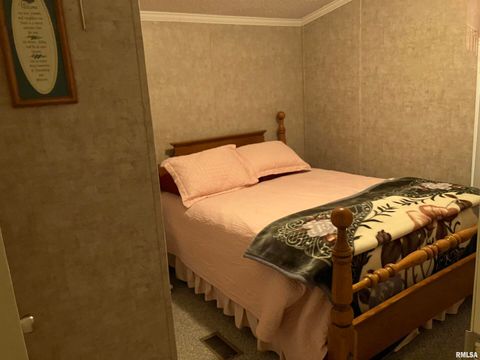 Tiny photo for 557 TWIN OAKS Drive, Cobden, IL 62920 (MLS # EB460456)