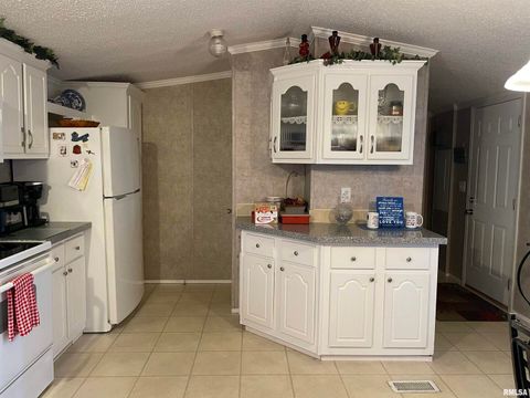 Tiny photo for 557 TWIN OAKS Drive, Cobden, IL 62920 (MLS # EB460456)