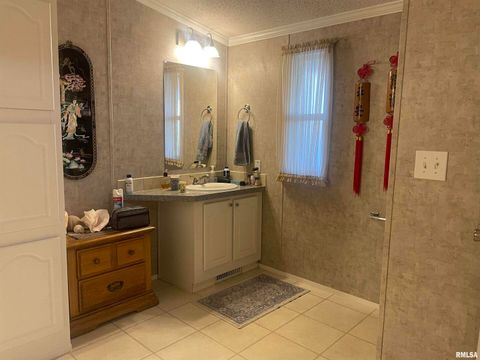 Tiny photo for 557 TWIN OAKS Drive, Cobden, IL 62920 (MLS # EB460456)