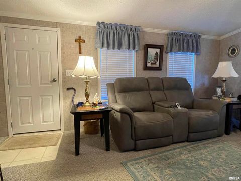 Tiny photo for 557 TWIN OAKS Drive, Cobden, IL 62920 (MLS # EB460456)