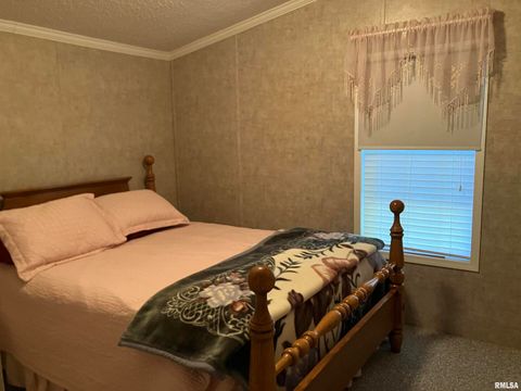 Tiny photo for 557 TWIN OAKS Drive, Cobden, IL 62920 (MLS # EB460456)