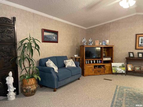 Tiny photo for 557 TWIN OAKS Drive, Cobden, IL 62920 (MLS # EB460456)