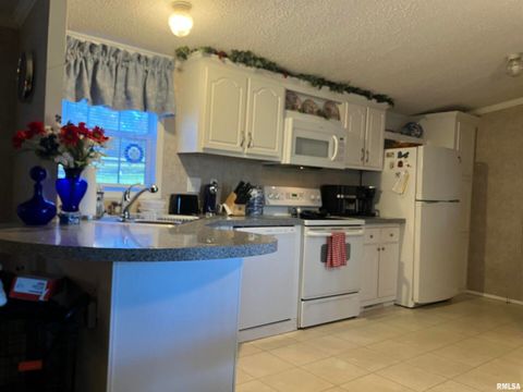 Tiny photo for 557 TWIN OAKS Drive, Cobden, IL 62920 (MLS # EB460456)