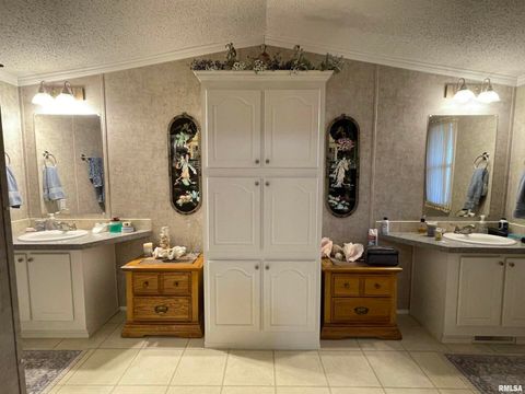 Tiny photo for 557 TWIN OAKS Drive, Cobden, IL 62920 (MLS # EB460456)