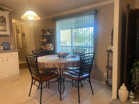 Tiny photo for 557 TWIN OAKS Drive, Cobden, IL 62920 (MLS # EB460456)