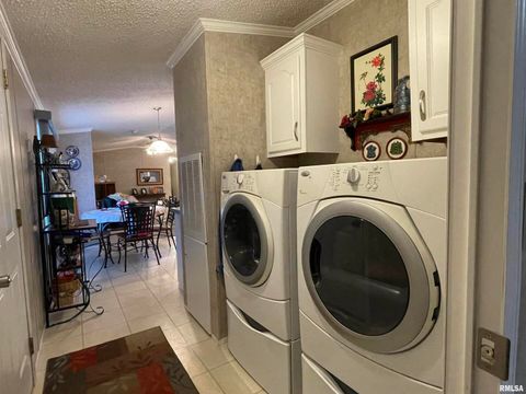 Tiny photo for 557 TWIN OAKS Drive, Cobden, IL 62920 (MLS # EB460456)