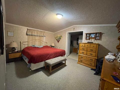 Tiny photo for 557 TWIN OAKS Drive, Cobden, IL 62920 (MLS # EB460456)