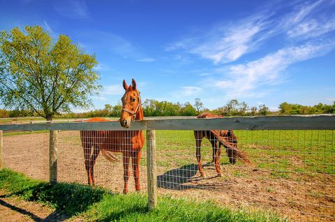 Tiny photo for 15917 Kishwaukee Valley Road, Woodstock, IL 60098 (MLS # 12263663)