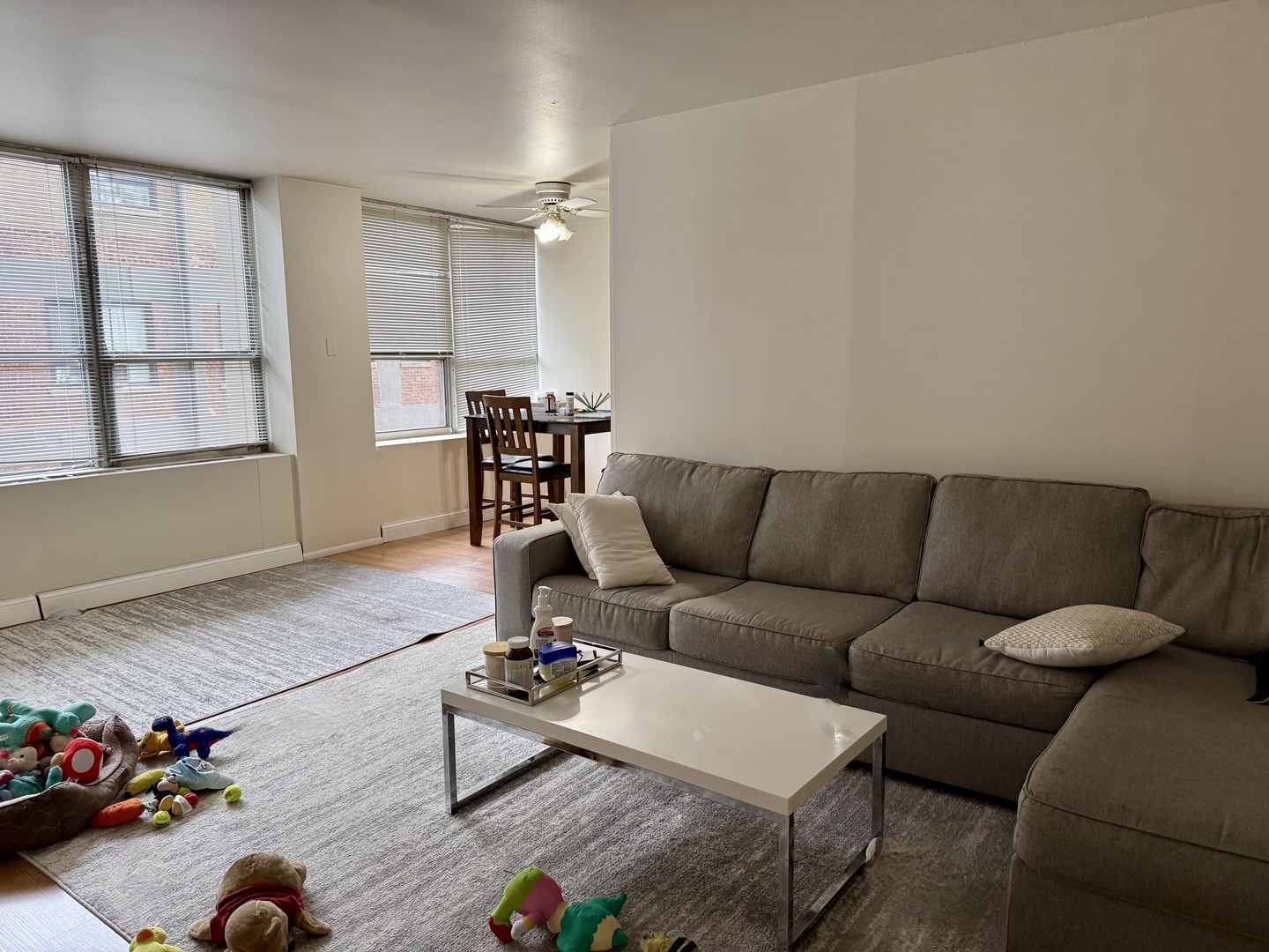 655 W Irving Park Road 513