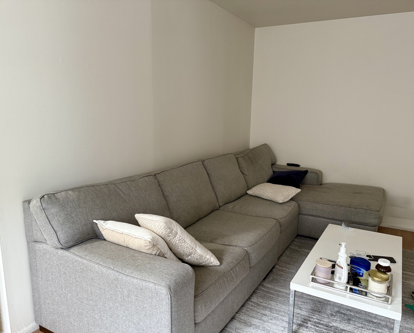 655 W Irving Park Road 513