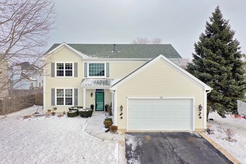 Tiny photo for 164 S Palmer Drive, Bolingbrook, IL 60490 (MLS # 12547483)