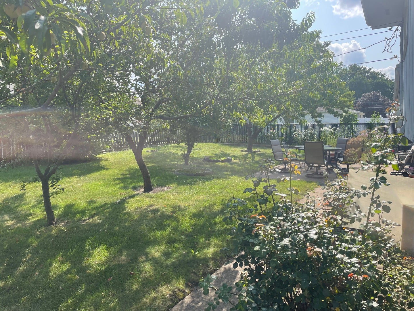 181 E Schubert Avenue