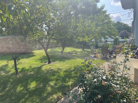 Tiny photo for 181 E Schubert Avenue, Glendale Heights, IL 60139 (MLS # 12716954)