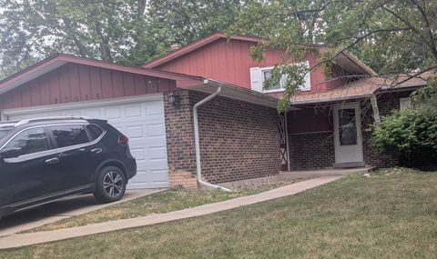 Photo of 23016 Valley Drive, Richton Park, IL 60471 (MLS # 12417806)