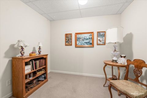 Tiny photo for 16073 Burr Oak Road, Plano, IL 60545 (MLS # 12634831)