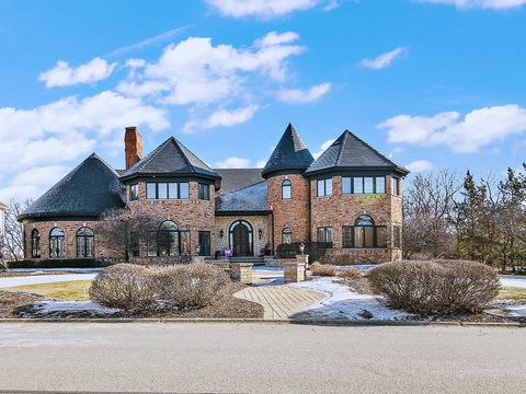 45 Silo Ridge Road Orland Park IL 60467