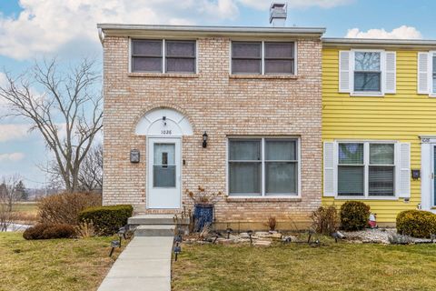 Photo of 1026 Denham Place, Schaumburg, IL 60194 (MLS # 12538900)