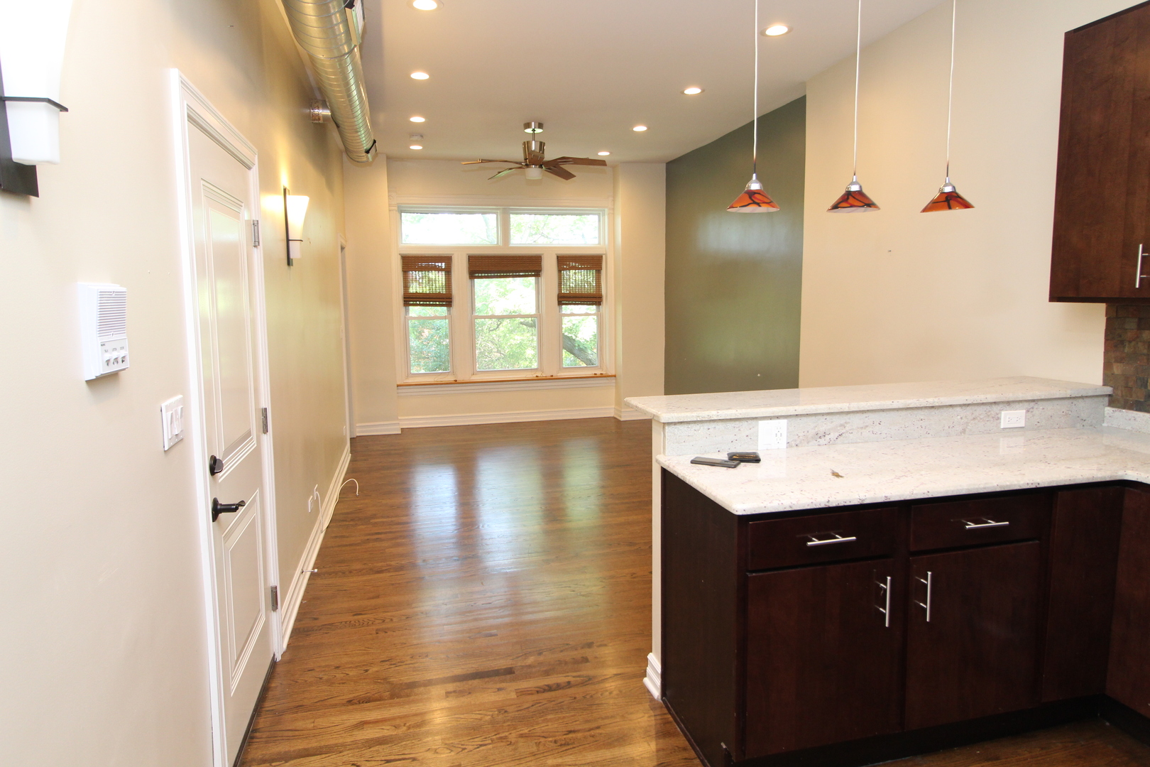 2155 W Potomac Avenue 1F