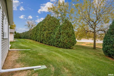 Tiny photo for 2037 VILLA PINES Circle, Carbon Cliff, IL 61239 (MLS # QC4269602)