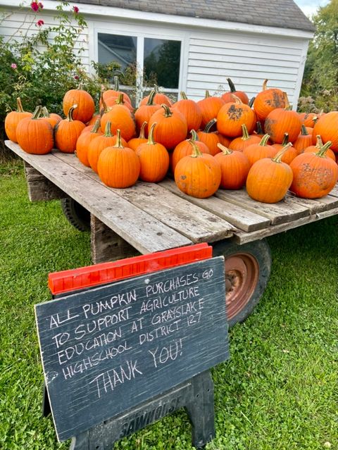 Tiny photo for Grayslake, IL 60030 (MLS # 12484840)