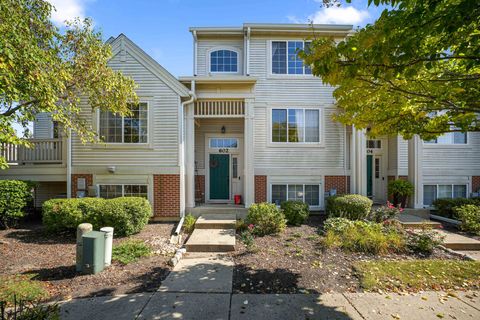 602 S Rosehall Lane Round Lake IL 60073