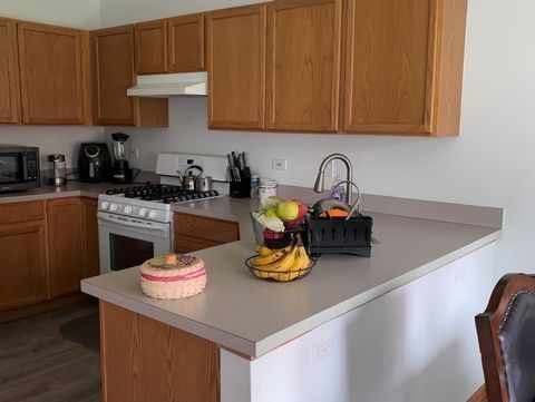 Tiny photo for Round Lake, IL 60073 (MLS # 12499199)