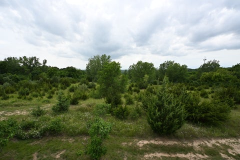 Tiny photo for 3814 W Richwoods Boulevard #7, Peoria, IL 61615 (MLS # 12675192)