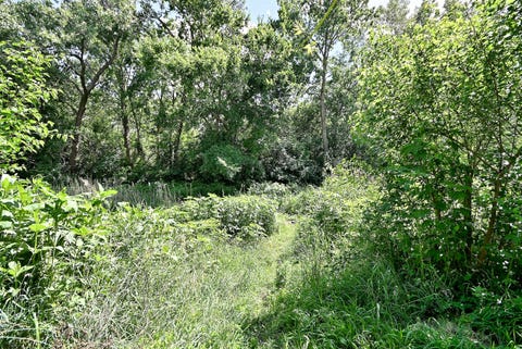 Tiny photo for 635 Burdette Avenue, Glendale Heights, IL 60139 (MLS # 12716849)