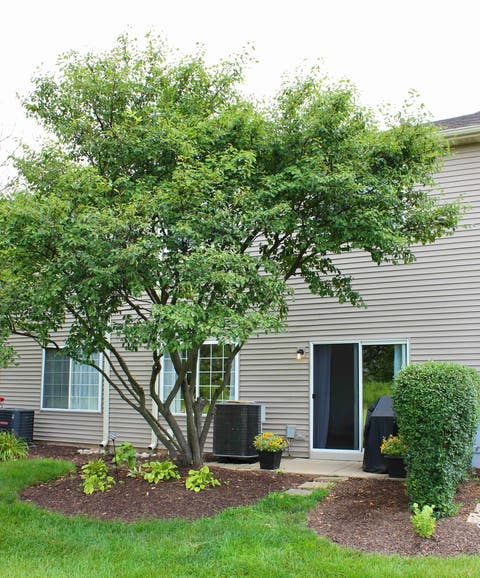 Tiny photo for 3811 Munson Court #0, Plano, IL 60545 (MLS # 12729901)