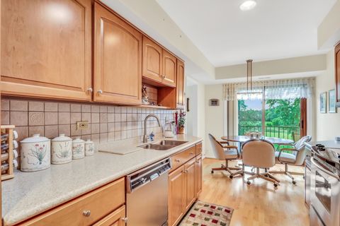 Tiny photo for 250 W Parliament Place #219, Mount Prospect, IL 60056 (MLS # 12714046)