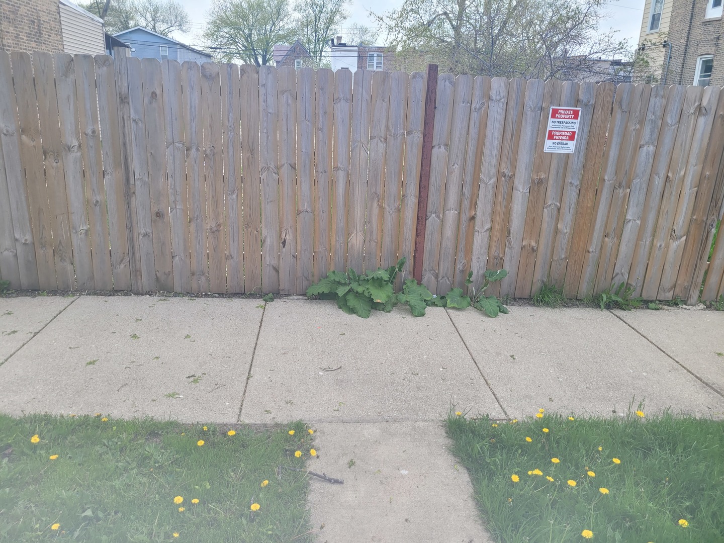 1110 N Springfield Avenue