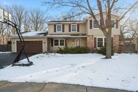 Photo of 852 Waverly Court, Naperville, IL 60563 (MLS # 12536223)