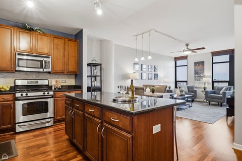 Tiny photo for Chicago, IL 60605 (MLS # 12704962)