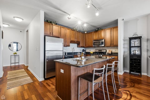 Tiny photo for Chicago, IL 60605 (MLS # 12704962)