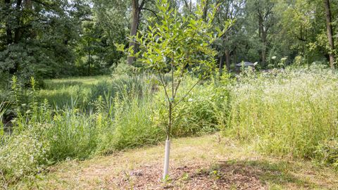 Tiny photo for 11N226 Peplow Road, Hampshire, IL 60140 (MLS # 12525324)