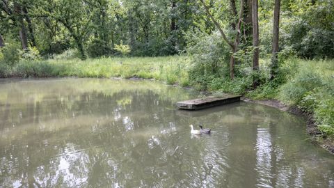 Tiny photo for 11N226 Peplow Road, Hampshire, IL 60140 (MLS # 12525324)