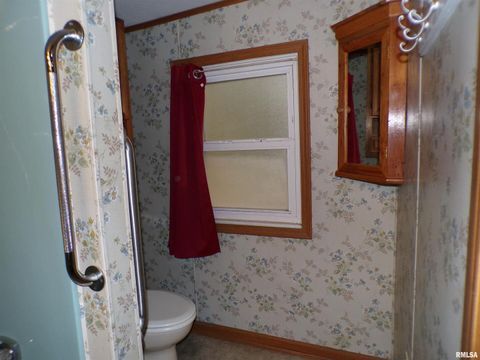 Tiny photo for Tilden, IL 62292 (MLS # EB460454)