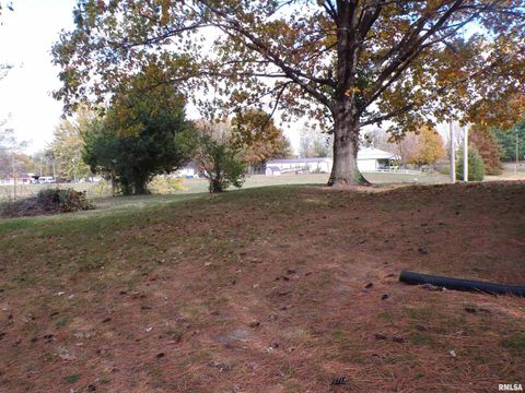 Tiny photo for Tilden, IL 62292 (MLS # EB460454)