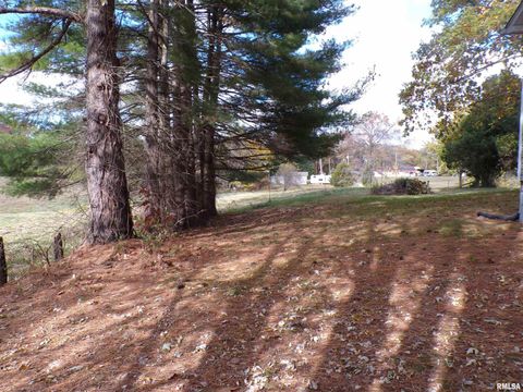 Tiny photo for Tilden, IL 62292 (MLS # EB460454)
