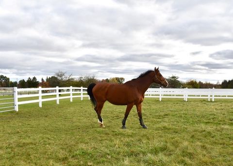 Tiny photo for 36968 N Thoroughbred Drive, Old Mill Creek, IL 60083 (MLS # 12517250)