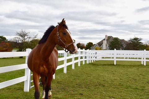 Tiny photo for 36968 N Thoroughbred Drive, Old Mill Creek, IL 60083 (MLS # 12517250)