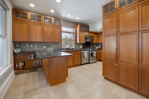 Tiny photo for 313 S 1st Street, West Dundee, IL 60118 (MLS # 12602587)