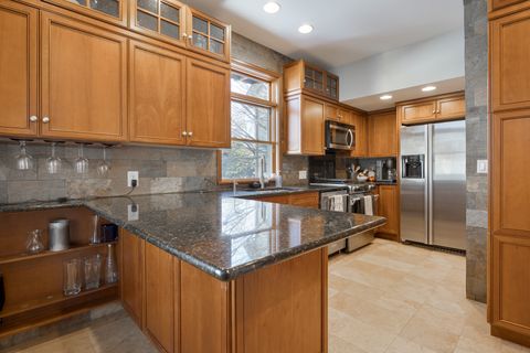 Tiny photo for 313 S 1st Street, West Dundee, IL 60118 (MLS # 12602587)