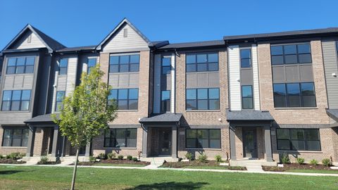 8377 Mulberry Avenue Morton Grove IL 60053