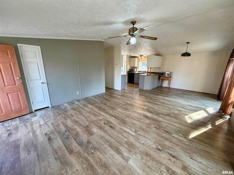 Tiny photo for 416 W SHIRLEY Lane, Richview, IL 62877 (MLS # EB460519)