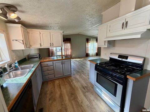 Tiny photo for 416 W SHIRLEY Lane, Richview, IL 62877 (MLS # EB460519)