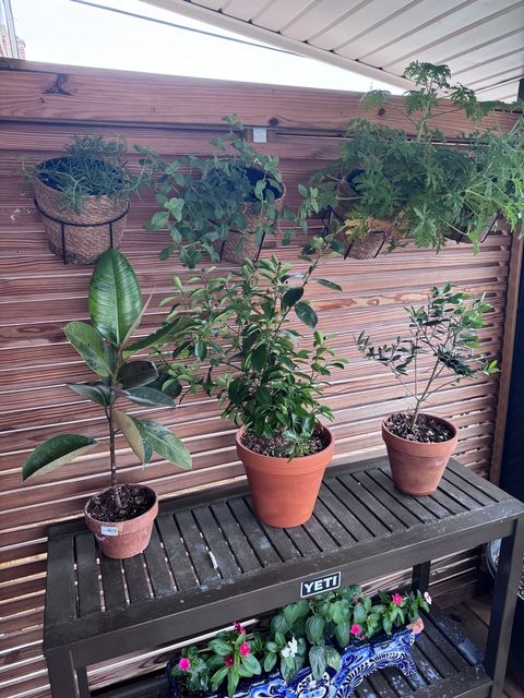 Tiny photo for 6813 S Keeler Avenue, Chicago, IL 60629 (MLS # 12556855)