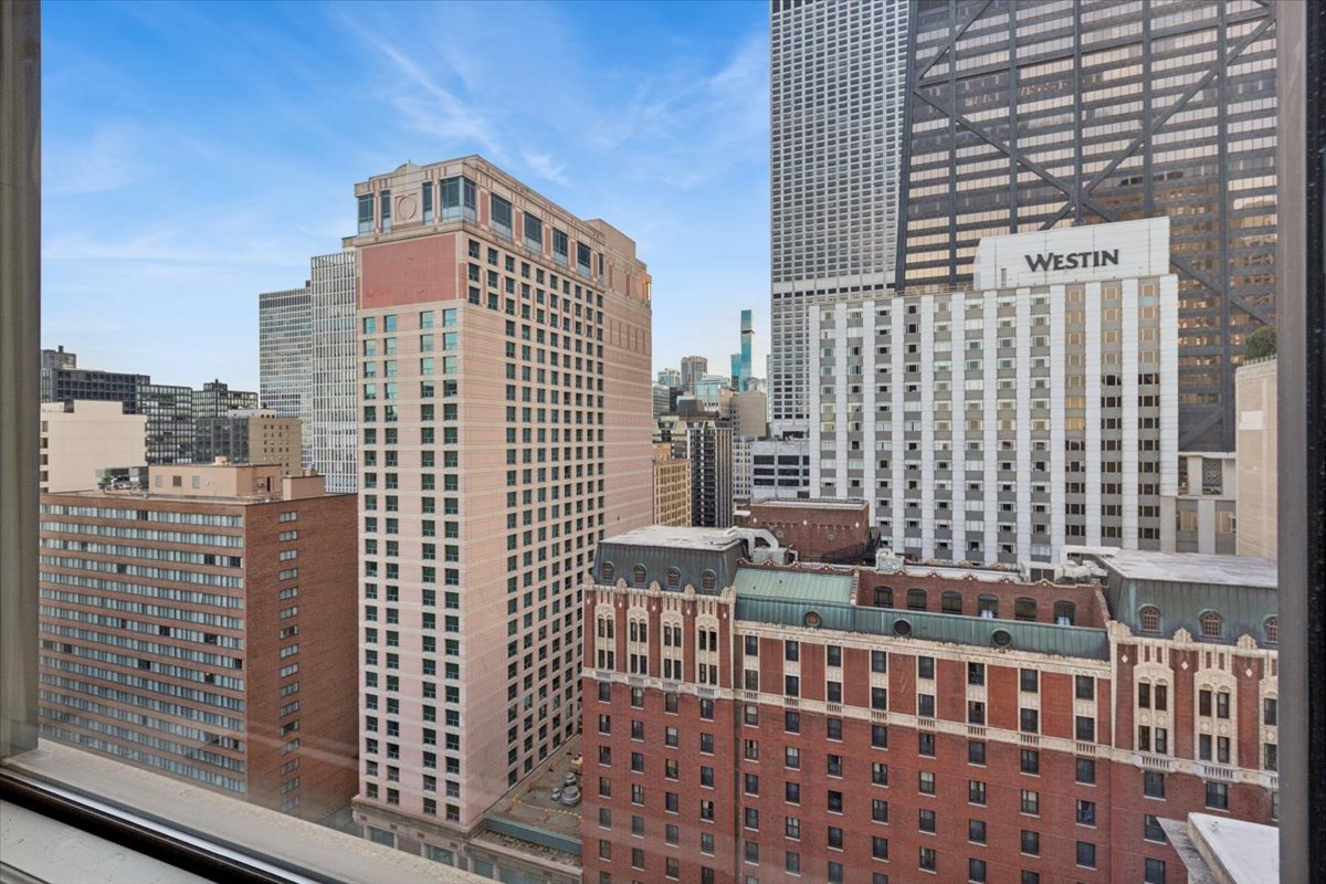 179 E Lake Shore Drive 19S