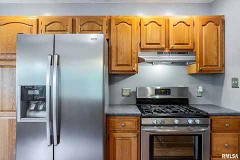 Tiny photo for 541 DALLAS Road, Murphysboro, IL 62966 (MLS # EB459428)