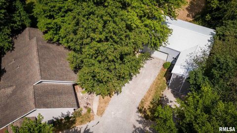 Tiny photo for 541 DALLAS Road, Murphysboro, IL 62966 (MLS # EB459428)